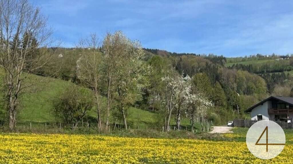  Land in Randegg, Austria No. 112077