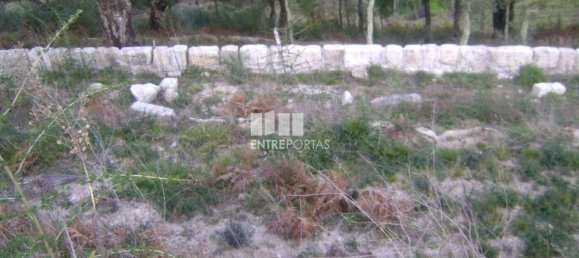 Grundstück in Marco de Canaveses, Portugal 1300m², Nr. 57424 9