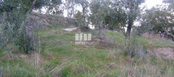 Grundstück in Marco de Canaveses, Portugal 1300m², Nr. 57424 6