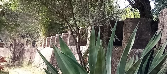 Terreno em Loulé, Portugal N.º 60558 5