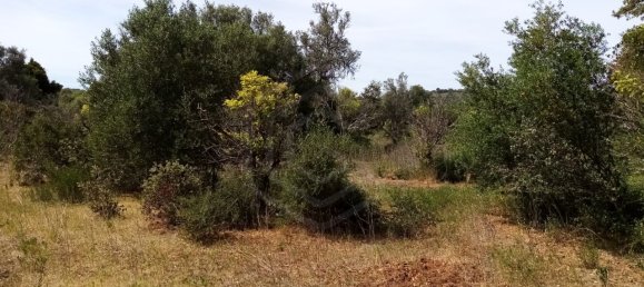 Terreno em Loulé, Portugal N.º 60558 3