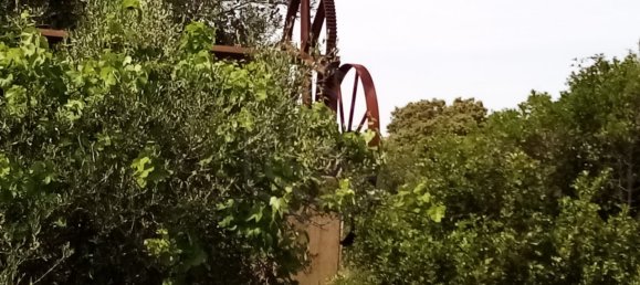 Terreno em Loulé, Portugal N.º 60558 10