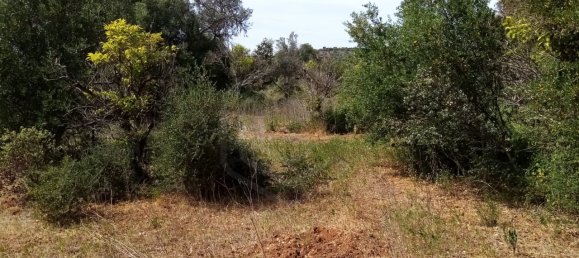 Terreno em Loulé, Portugal N.º 60558 7
