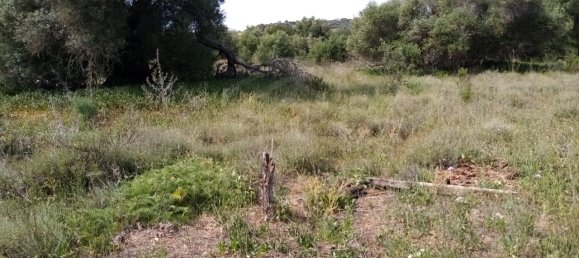 Terreno em Loulé, Portugal N.º 60558 6