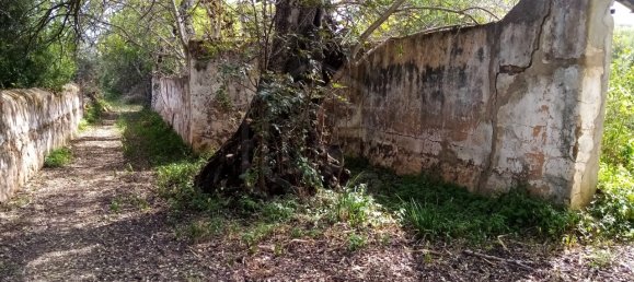 Terreno em Loulé, Portugal N.º 60558 4