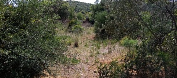 Terreno em Loulé, Portugal N.º 60558 18