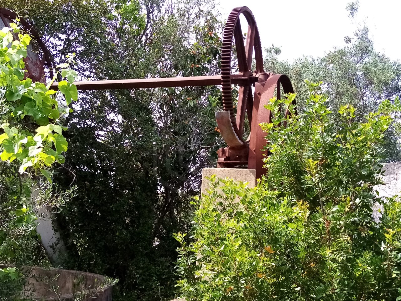 Terreno em Loulé, Portugal N.º 60558