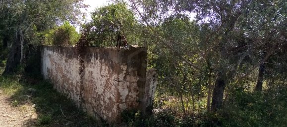 Terreno em Loulé, Portugal N.º 60558 14