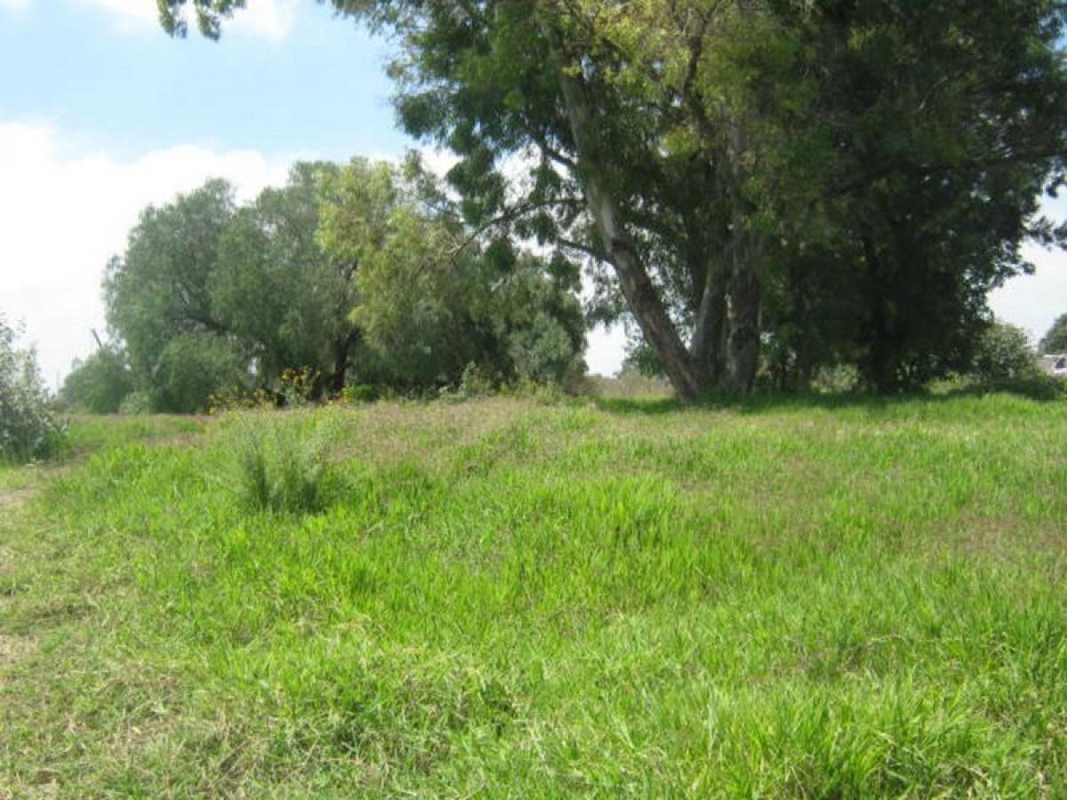  قطعة أرض في Tultitlan, Mexico رقم 205987