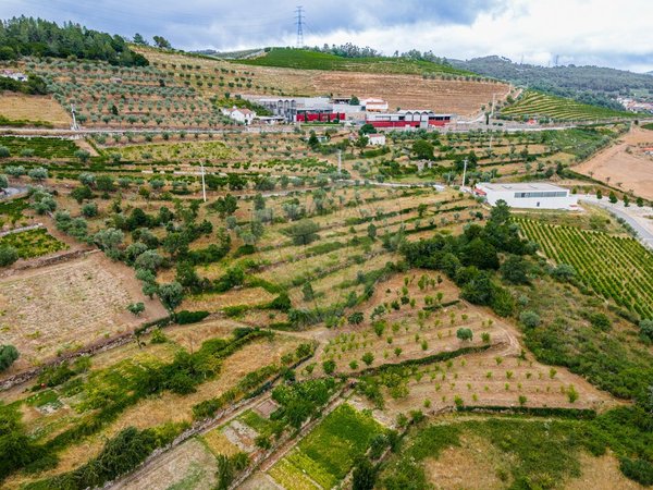 Casa de 3 dormitorios en Tarouca, Portugal No. 91097