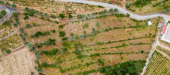 Casa de 3 dormitorios en Tarouca, Portugal No. 91097 28