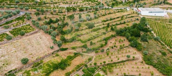 Casa de 3 dormitorios en Tarouca, Portugal No. 91097 36