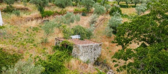 Casa de 3 dormitorios en Tarouca, Portugal No. 91097 6