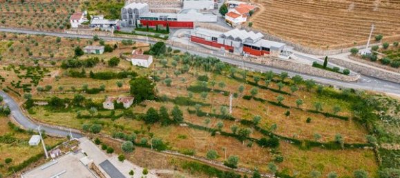 Casa de 3 dormitorios en Tarouca, Portugal No. 91097 13