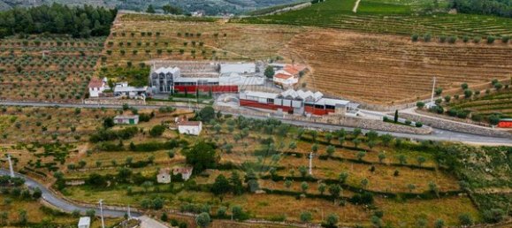 Casa de 3 dormitorios en Tarouca, Portugal No. 91097 42