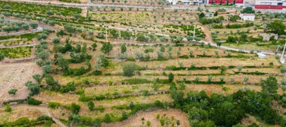 Casa de 3 dormitorios en Tarouca, Portugal No. 91097 33
