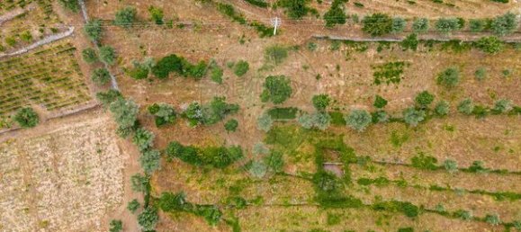 Casa de 3 dormitorios en Tarouca, Portugal No. 91097 25