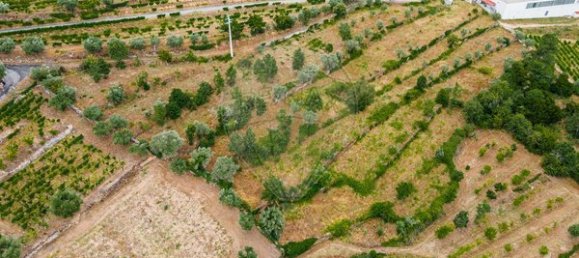 Casa de 3 dormitorios en Tarouca, Portugal No. 91097 37