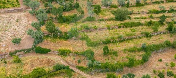 Casa de 3 dormitorios en Tarouca, Portugal No. 91097 31