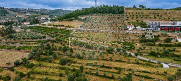 Casa de 3 dormitorios en Tarouca, Portugal No. 91097 21