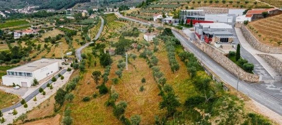 Casa de 3 dormitorios en Tarouca, Portugal No. 91097 10