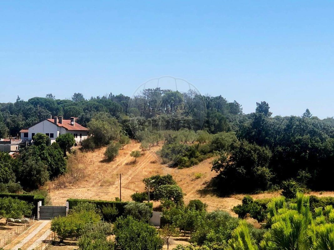 3 غرف نوم منزل في Torres Novas, Portugal رقم 223315