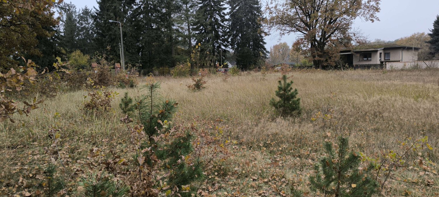 Земельный участок в Даме-Шпревальд, Германия № 116845