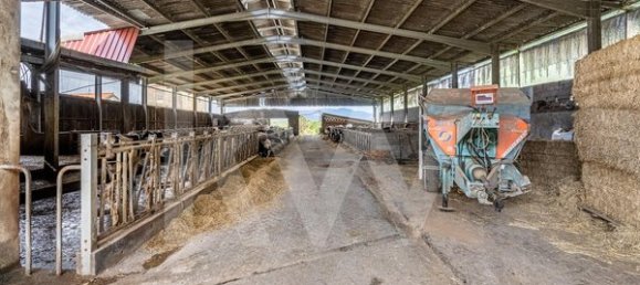 3 Schlafzimmer Haus in Vila Nova de Cerveira, Portugal, Nr. 54301 25