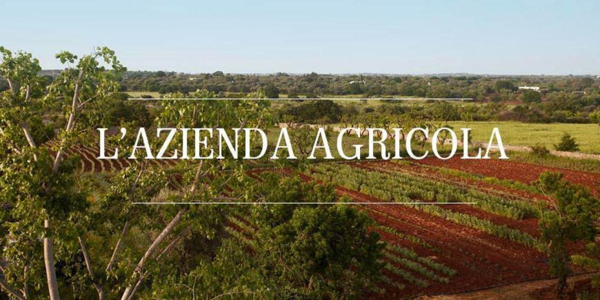 Casa de 4 dormitorios en Castiglione della Pescaia, Italy No. 1151