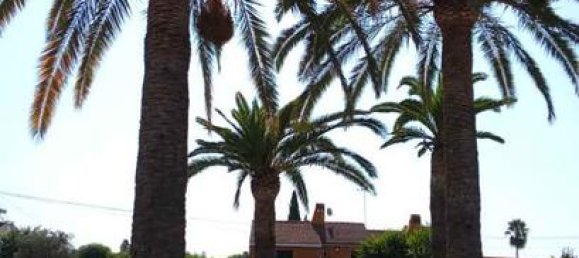 5 bedrooms House in Andalusia, Spain No. 162016 3