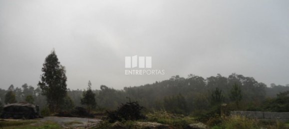 Terreno en Marco de Canaveses, Portugal 7800 m² No. 59612 10