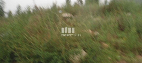 Terreno en Marco de Canaveses, Portugal 7800 m² No. 59612 4