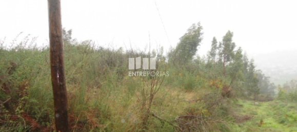 Terreno en Marco de Canaveses, Portugal 7800 m² No. 59612 2