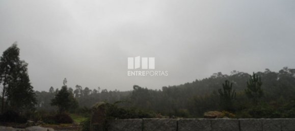 Terreno en Marco de Canaveses, Portugal 7800 m² No. 59612 5