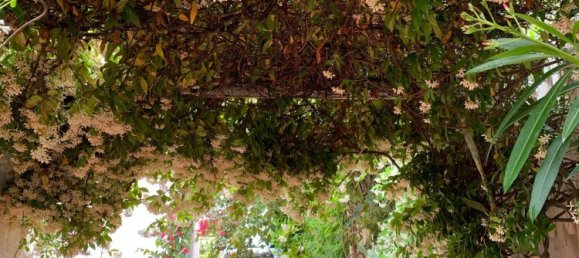 Villa de 6 divisões em Ostuni, Italy N.º 251072 24