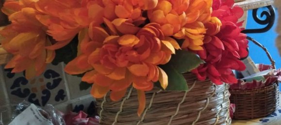 Villa de 6 divisões em Ostuni, Italy N.º 251072 25