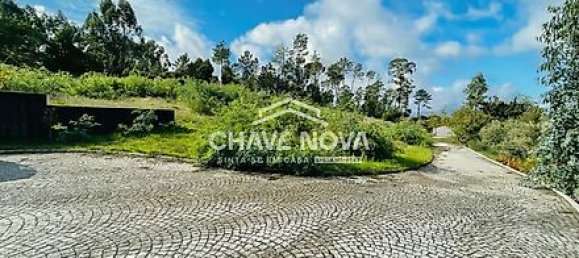 5 غرف نوم منزل في Viseu, Portugal رقم 31062 23