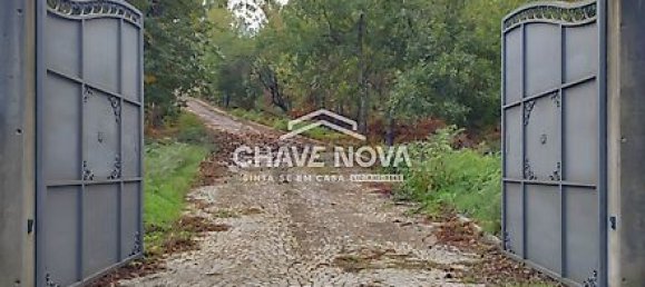 5 غرف نوم منزل في Viseu, Portugal رقم 31062 24