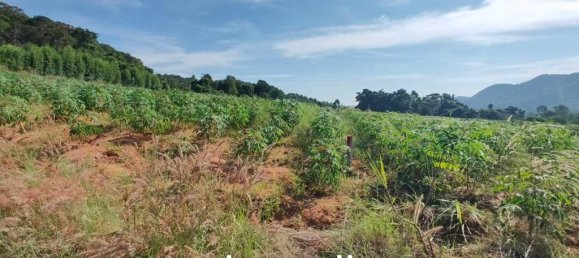  Commercial property in Bang Sare, Thailand No. 21581 4