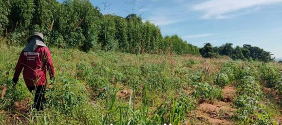  Commercial property in Bang Sare, Thailand No. 21581 8