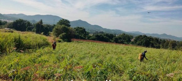  Commercial property in Bang Sare, Thailand No. 21581 6