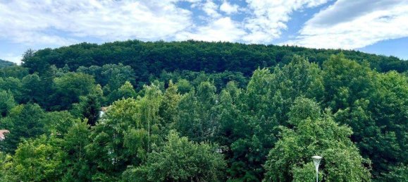 6 rooms House in Pressbaum, Austria No. 169099 3