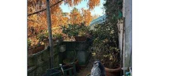 4 Schlafzimmer Wohnung in Segrate, Italy, Nr. 276262 15