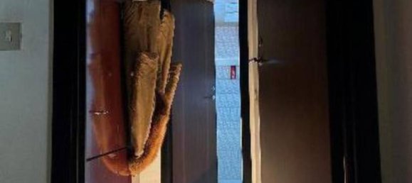 4 Schlafzimmer Wohnung in Segrate, Italy, Nr. 276262 45