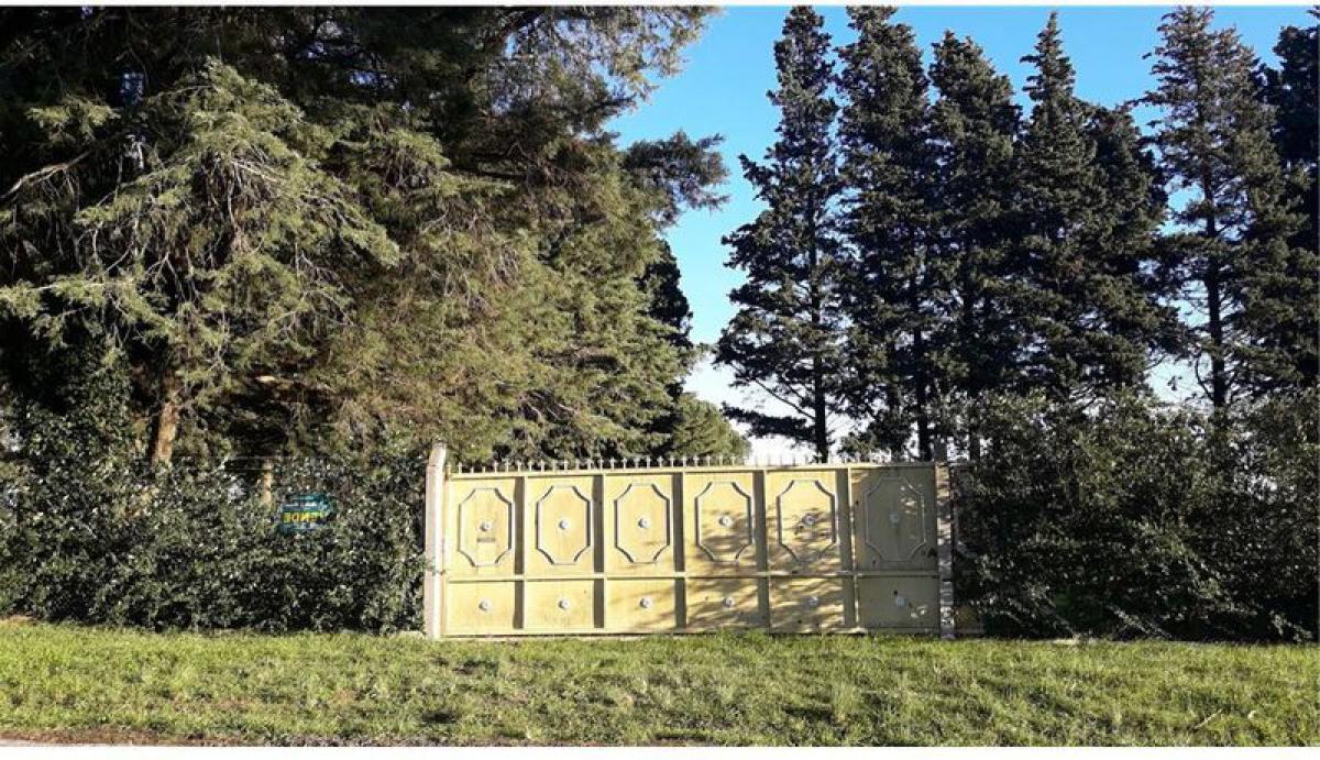  Land in Tandil, Argentina No. 42442