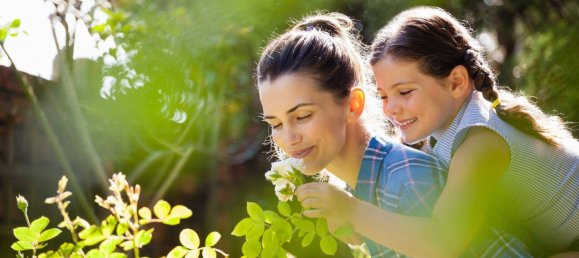 Terrain à Salzburg, Austria 75m² No. 21570 13