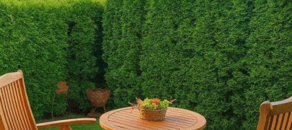 2 rooms Apartment in Salzburg, Austria No. 244421 2