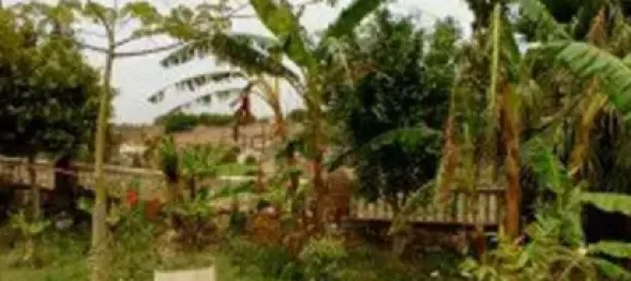 5 غرف نوم منزل في Granada, Spain رقم 148358 19