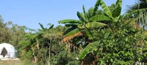 5 غرف نوم منزل في Granada, Spain رقم 148358 24