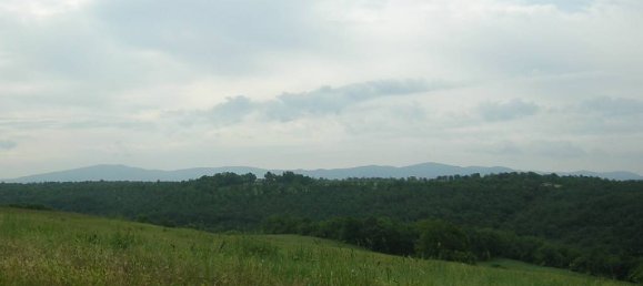 50-Zimmer Haus in Colle di Val d'Elsa, Italy, Nr. 70714 19